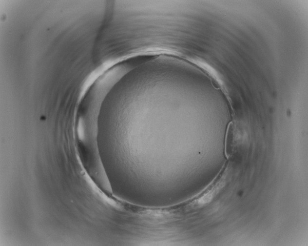 X0000066520910200603241333