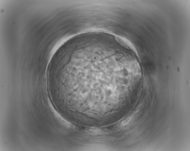 X0000066520911200603241333