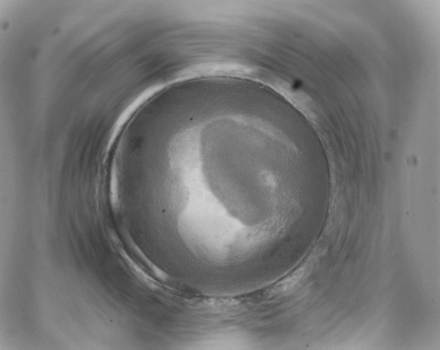 X0000066520912200603241333