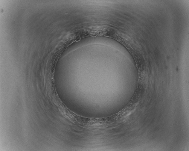 X0000066520913200603241332