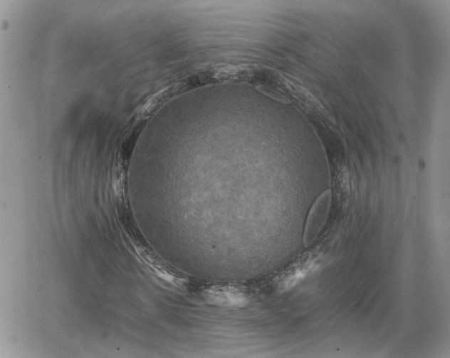 X0000066520914200603241332