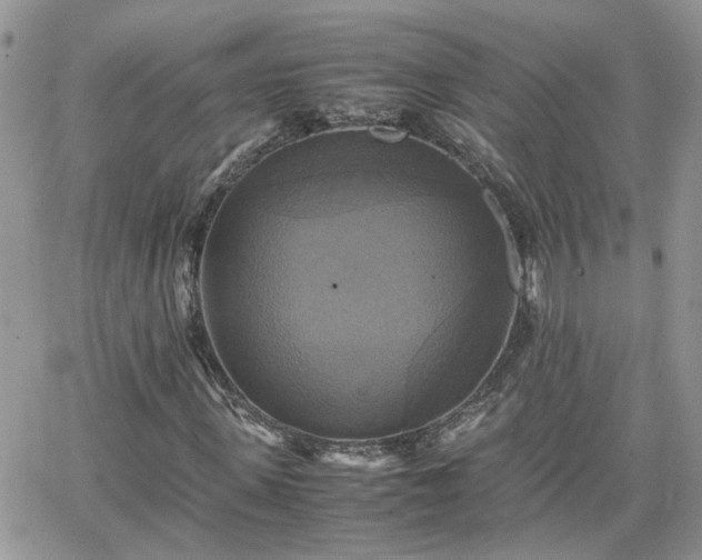 X0000066520915200603241332