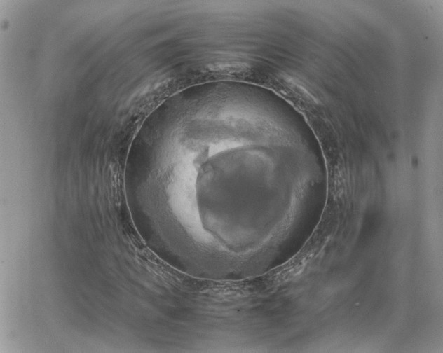 X0000066520917200603241333