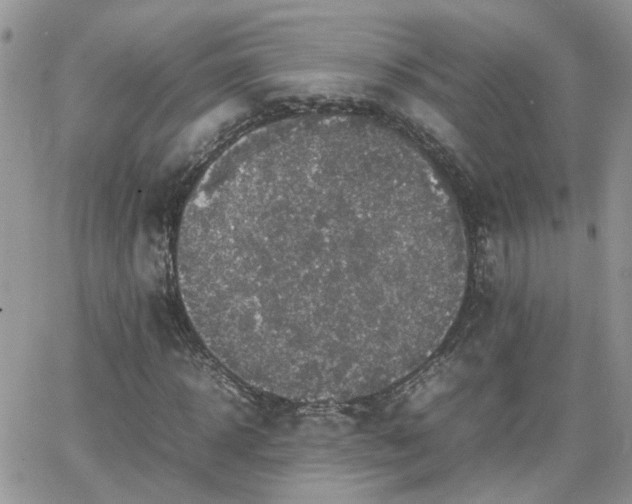 X0000066520918200603241333