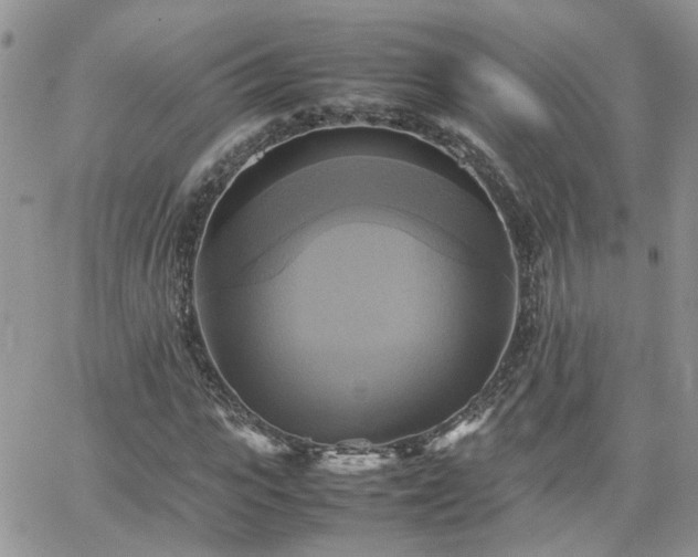 X0000066520919200603241333