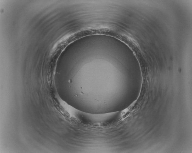 X0000066520920200603241333