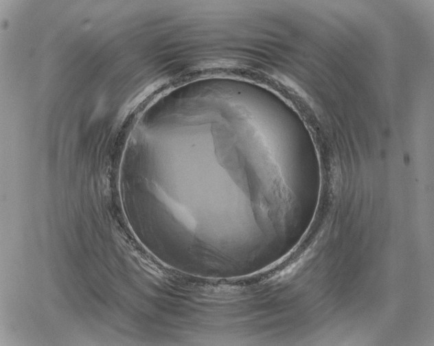 X0000066520921200603241333