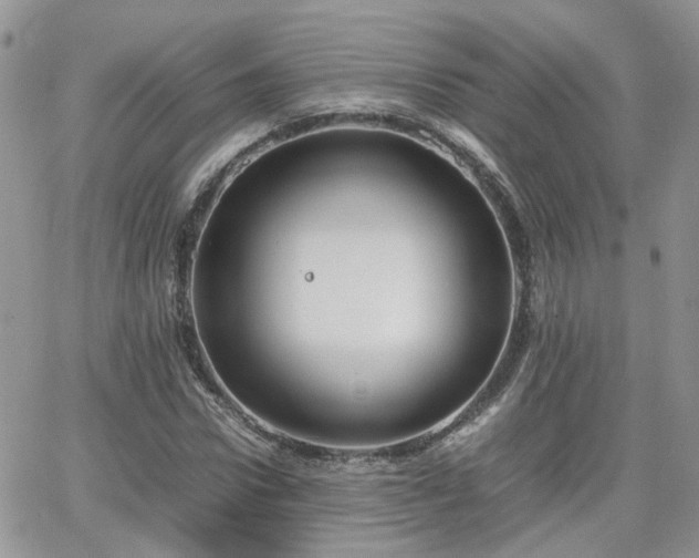 X0000066520922200603241333