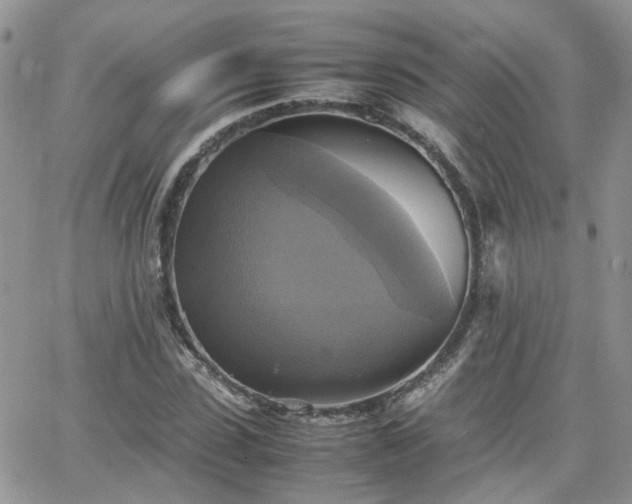 X0000066520923200603241333