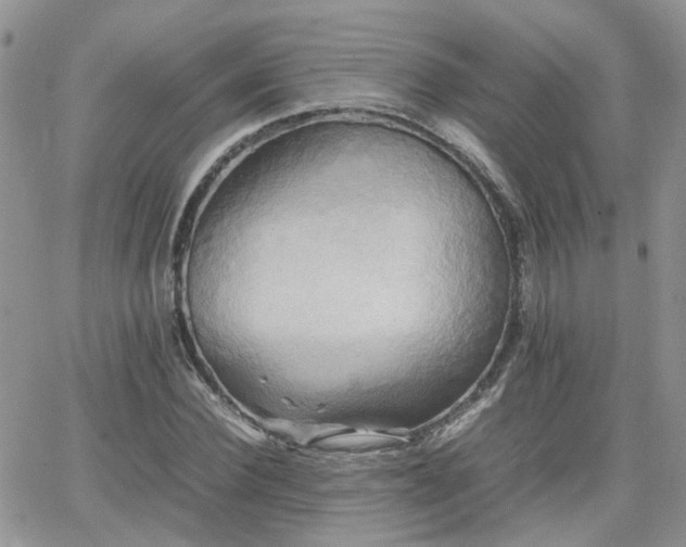 X0000066520924200603241333