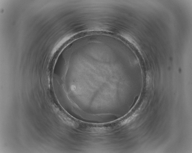 X0000066520925200603241333