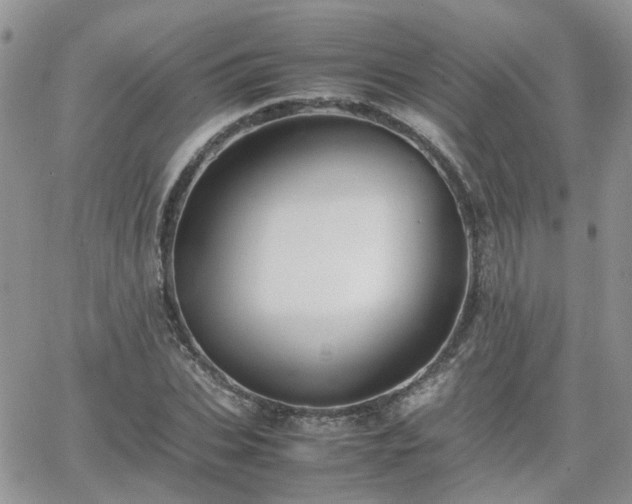 X0000066520927200603241333