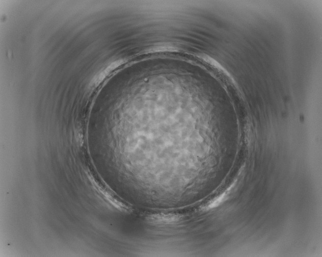 X0000066520929200603241333