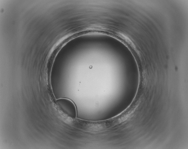 X0000066520931200603241333