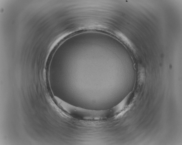 X0000066520932200603241333