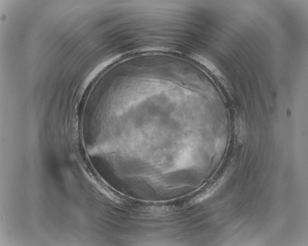 X0000066520933200603241333