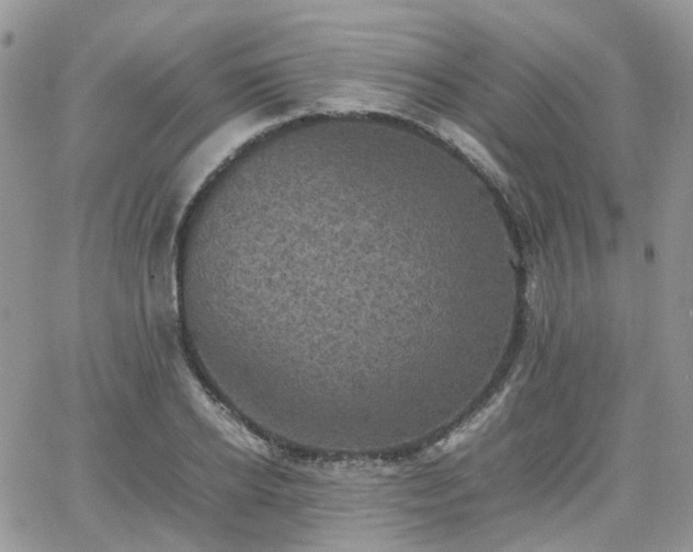 X0000066520934200603241333