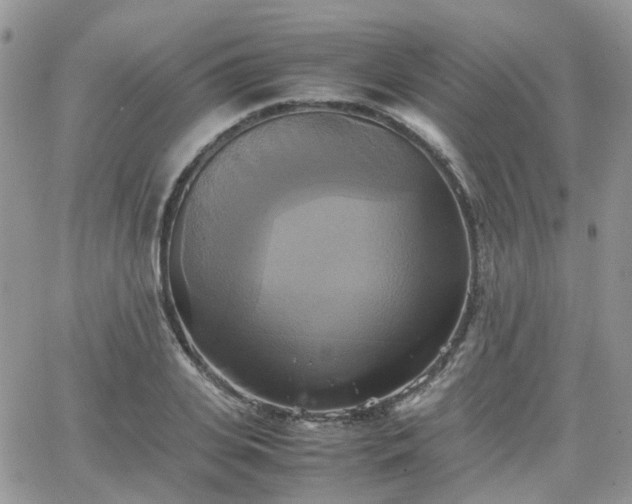 X0000066520935200603241333