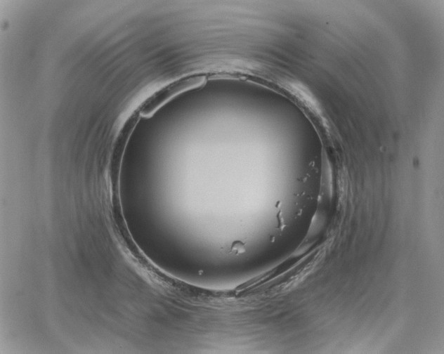 X0000066520936200603241333