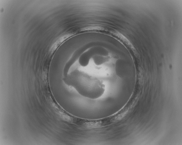 X0000066520937200603241333