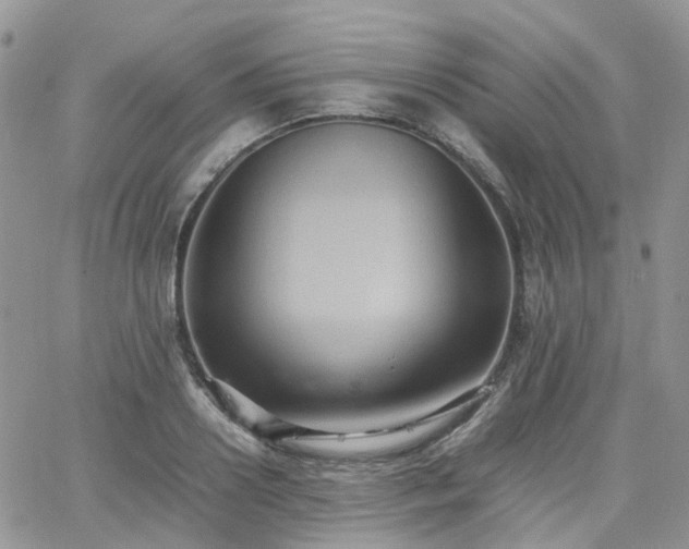 X0000066520938200603241333