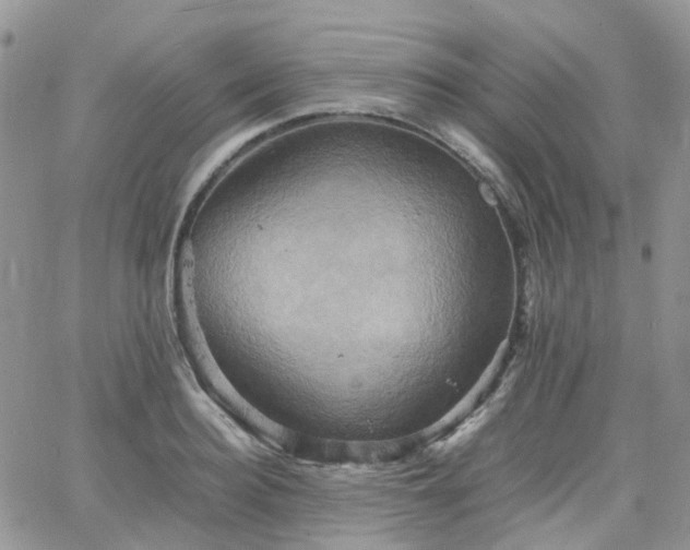 X0000066520940200603241333