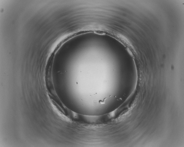 X0000066520942200603241333