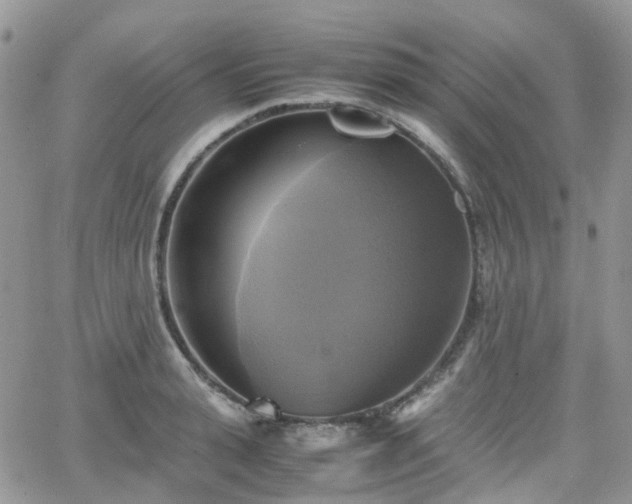 X0000066520943200603241333