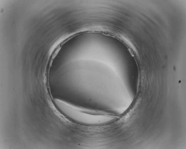 X0000066520944200603241333