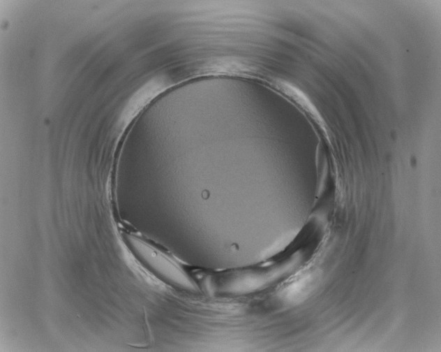 X0000066520946200603241333