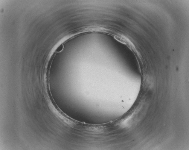 X0000066520947200603241333