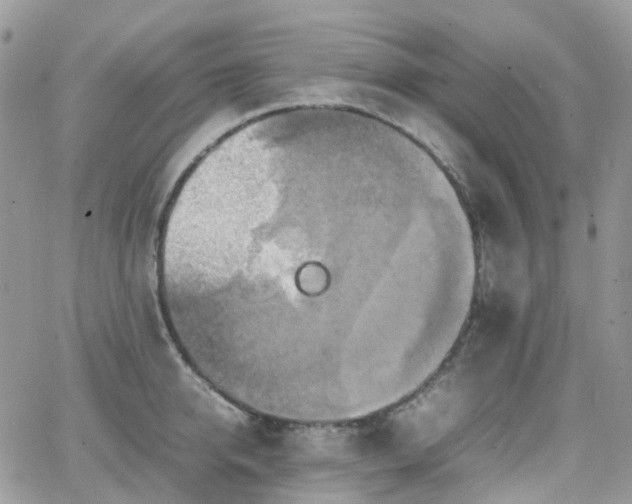 X0000066520950200603241333