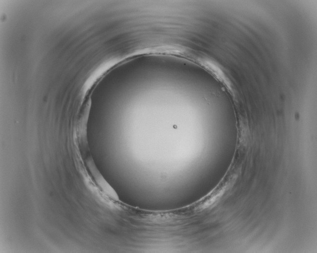 X0000066520952200603241333