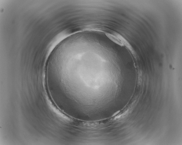 X0000066520955200603241333