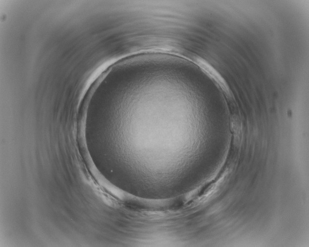 X0000066520956200603241333