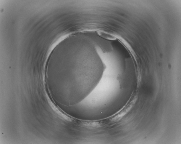 X0000066520957200603241333