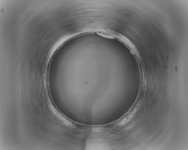 X0000066520958200603241333