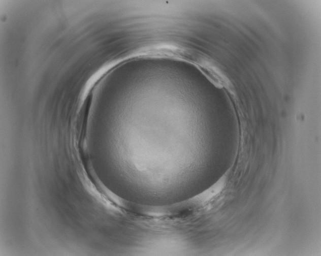 X0000066520960200603241333