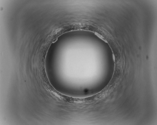 X0000066520961200603241332