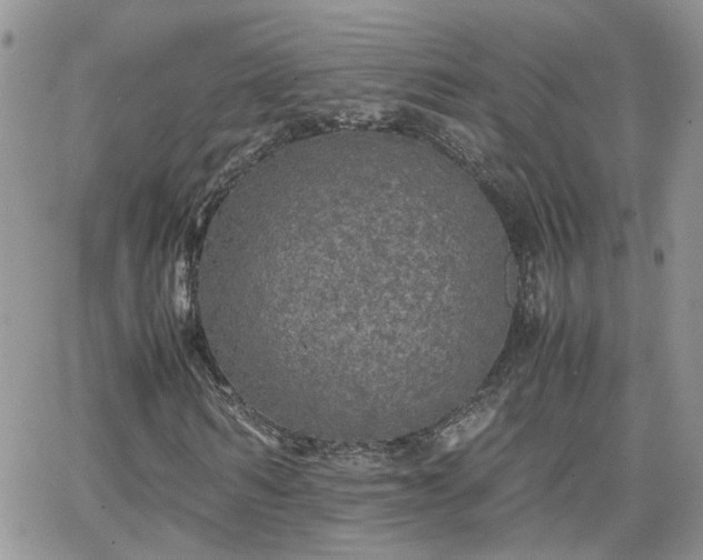 X0000066520962200603241332