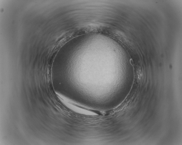 X0000066520964200603241332