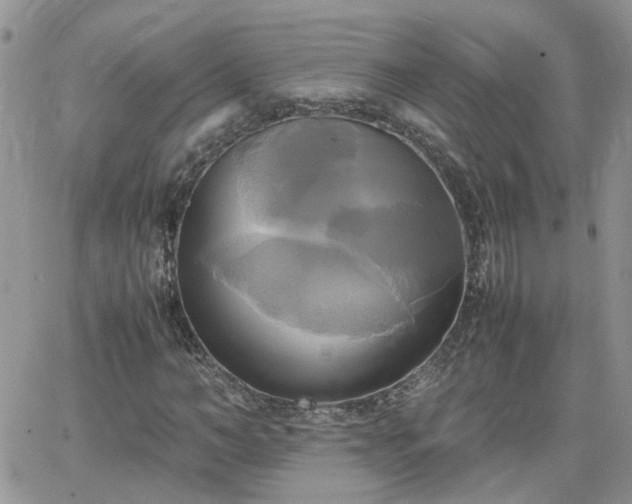 X0000066520966200603241332