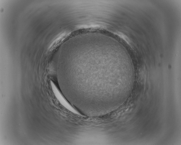 X0000066520967200603241332