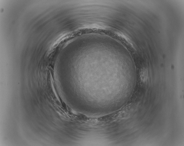 X0000066520968200603241332