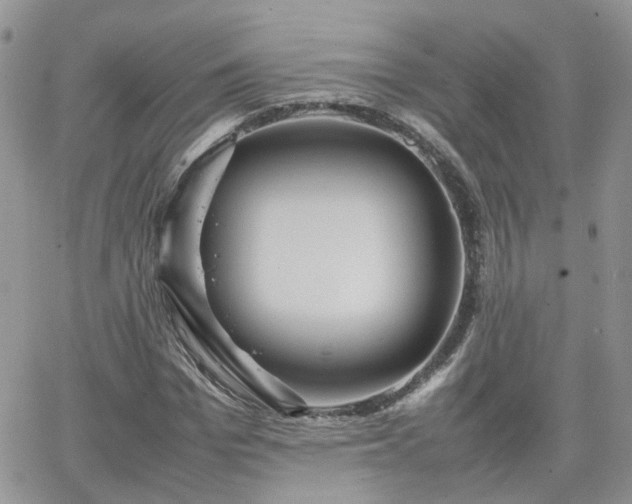 X0000066520969200603241332