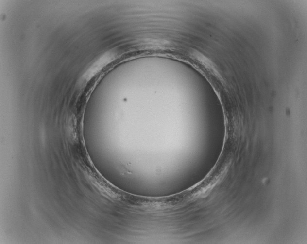 X0000066520970200603241332