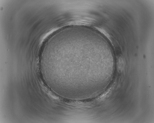 X0000066520971200603241332