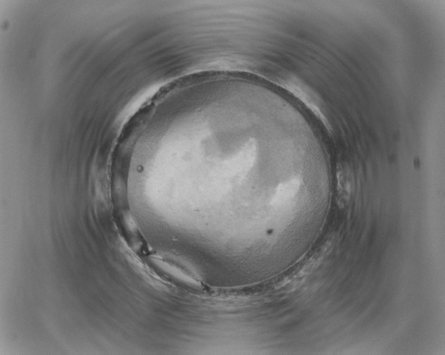 X0000066520972200603241332