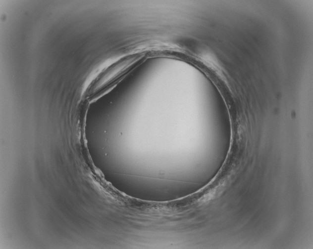 X0000066520973200603241332