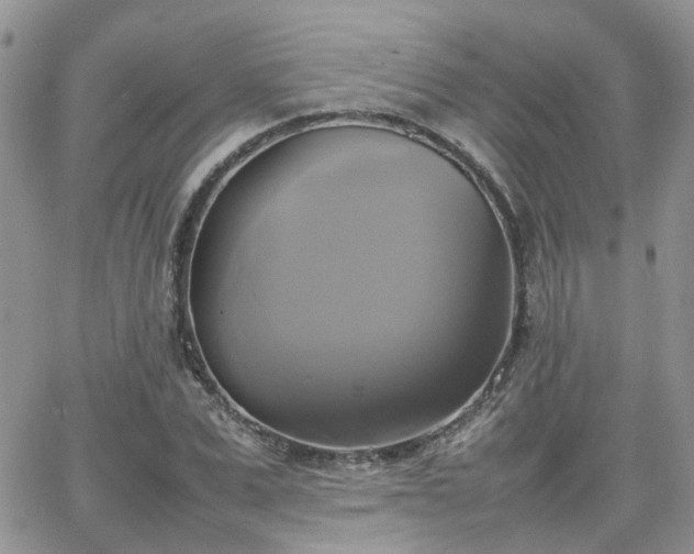 X0000066520975200603241332